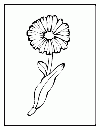 Printable Spring Flowers » Cenul – Free Coloring Pages For Kids